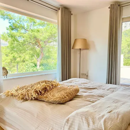 Storm - Very Stylish W/pool & Garden In Gocek Hills 别墅 费特希耶
