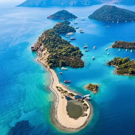 Storm - Very Stylish W/pool & Garden In Gocek Hills 别墅