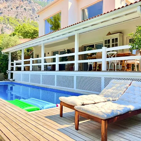 别墅 Storm - Very Stylish W/pool & Garden In Gocek Hills 费特希耶